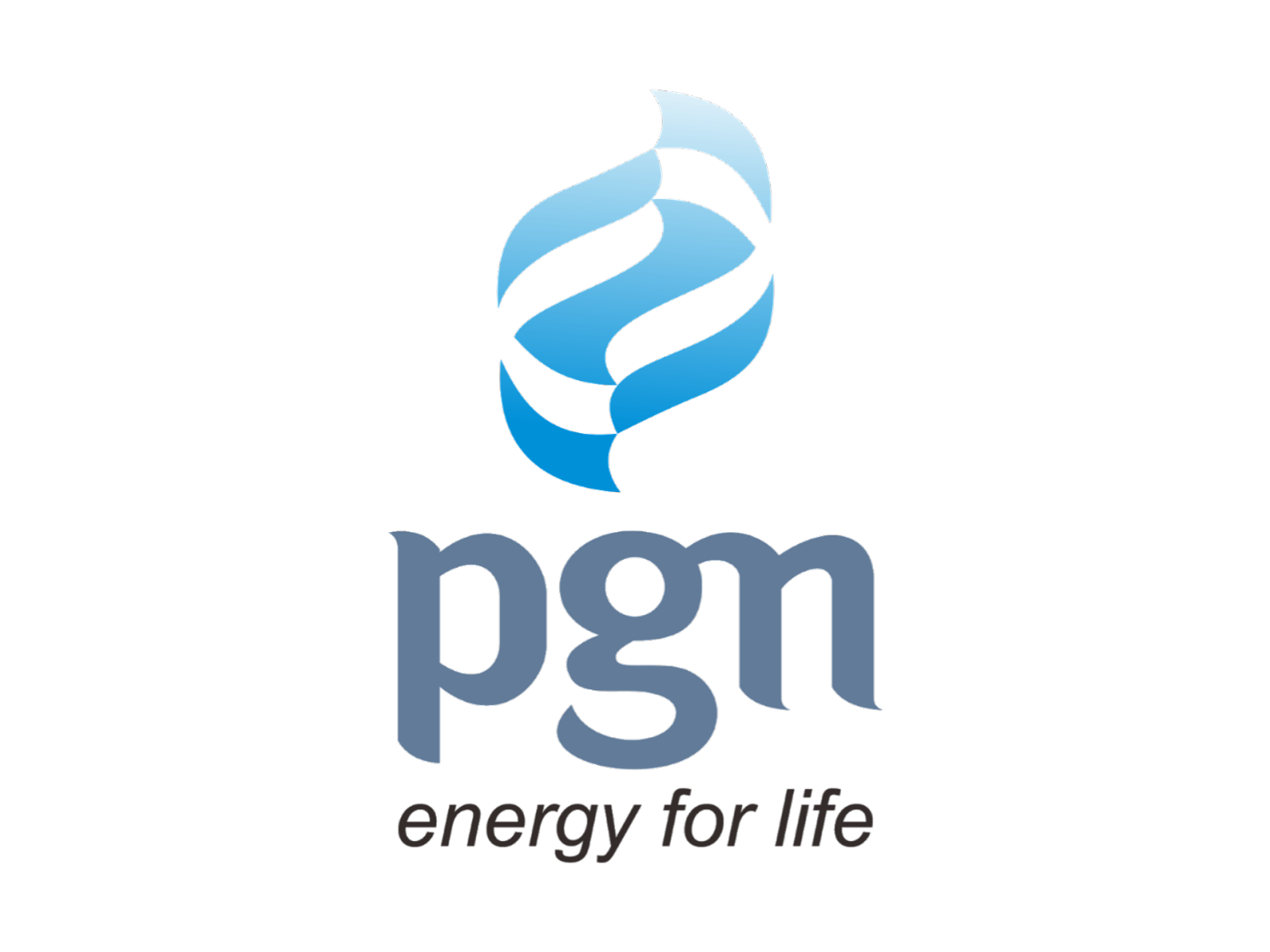 Logo PGN